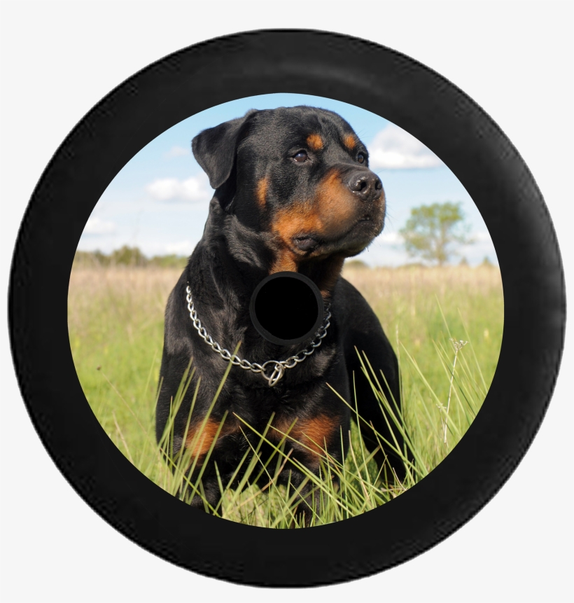Jeep Wrangler Jl Backup Camera Loyal Rottweiler In - Rottweiler Marks, transparent png download