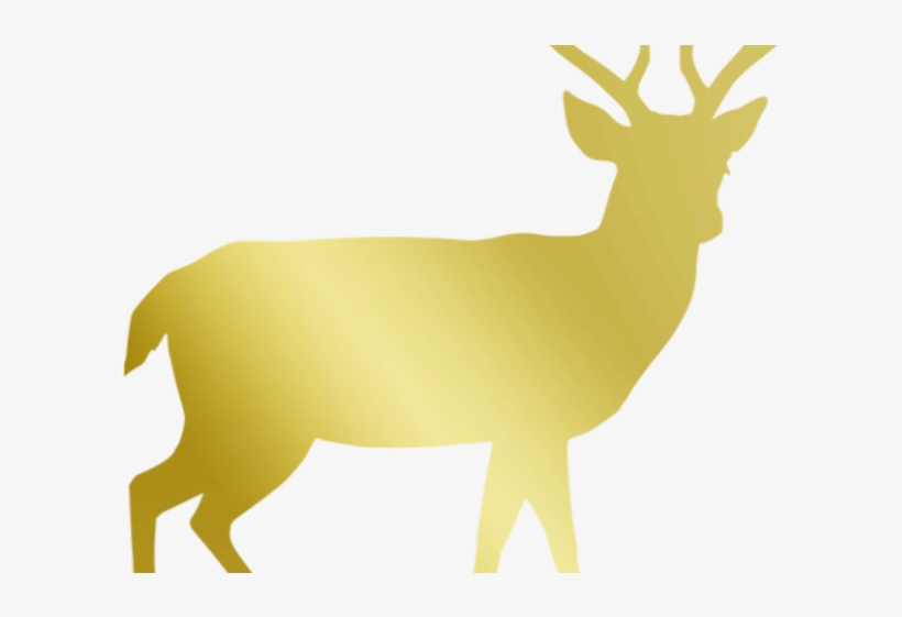 Reindeer Antlers Clipart - Doe Silhouette Target, transparent png download