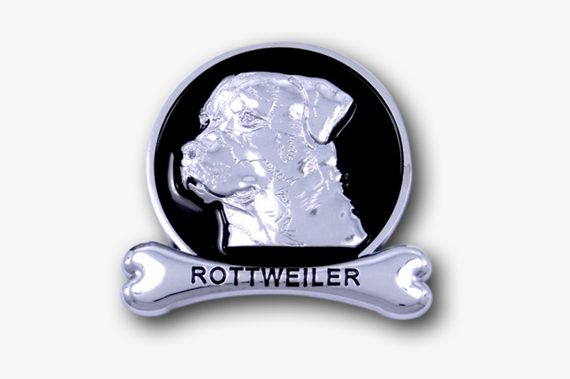 American Bulldog, transparent png download