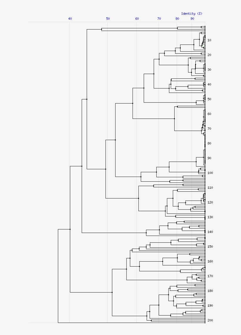 Tree For Family C51 - Diagram, transparent png download
