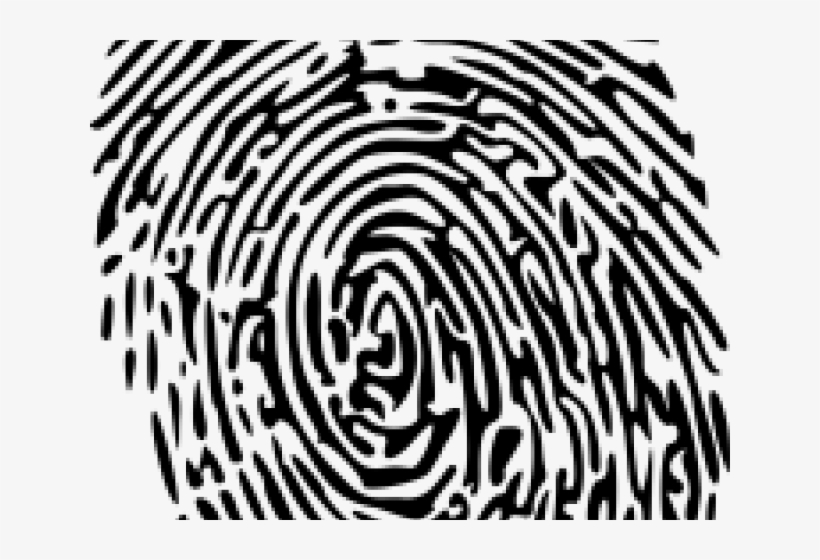 Fingerprint Clipart Transparent Background - Desenho De Digital De Dedo Png, transparent png download