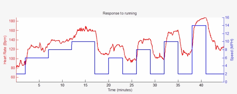 The Correlation Coefficient Between My Speed And Heart - Diagram, transparent png download