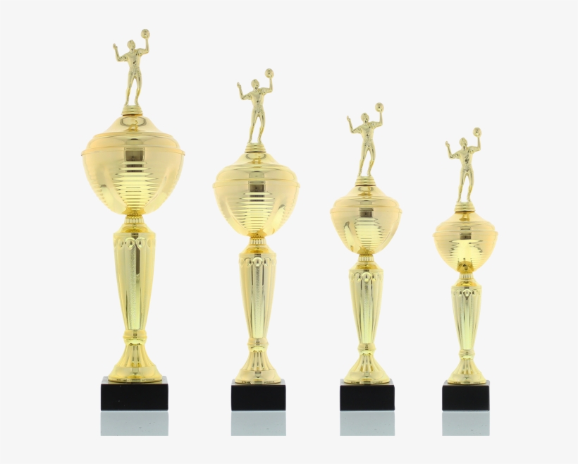 Trophy Series Camilla - Pigeon Trophy, transparent png download