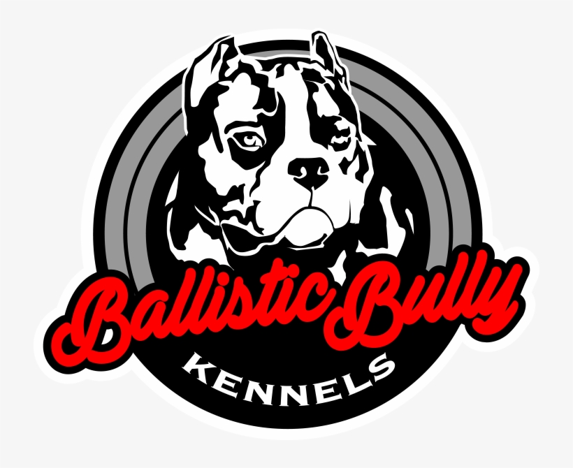 American Bulldog, Photo Puzzle Game - Olde English Bulldogge, transparent png download