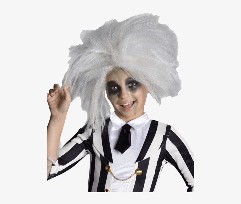 Child Beetlejuice Wig - Kids Dressed As Beetlejuice, transparent png download