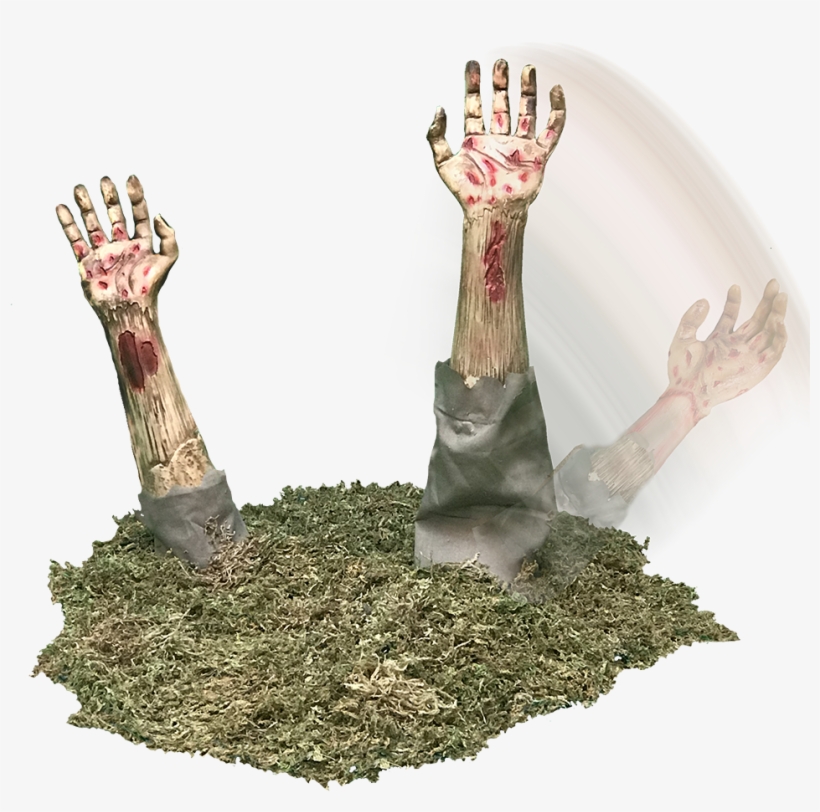 Halloween, transparent png download