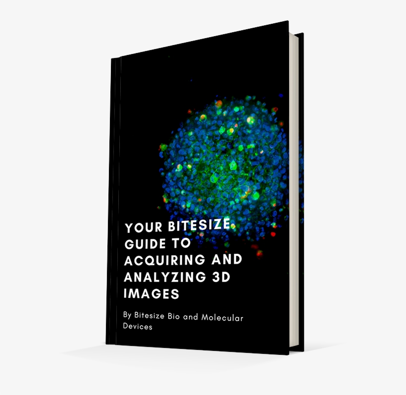 Subscribe Now And Get Your Free Guide - Graphic Design, transparent png download