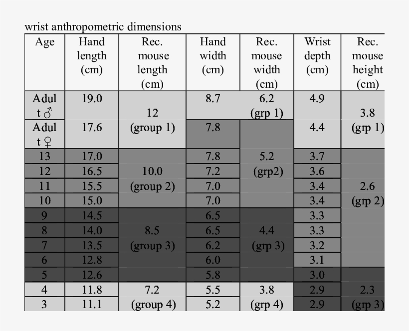 Recommended Mouse Length, Width And Height Based On - Hand Width And Height, transparent png download
