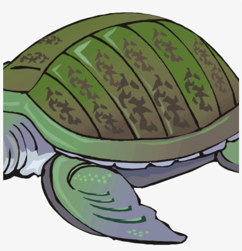 Clipart Turtle Free Turtle Clipart Clip Art For Students - Tortoise, transparent png download