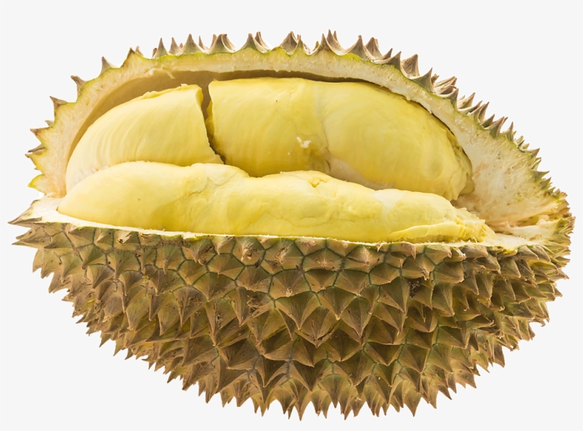 So, Pay Us A Visit For The Only Cure To Your Late-night - Durio Zibethinus, transparent png download