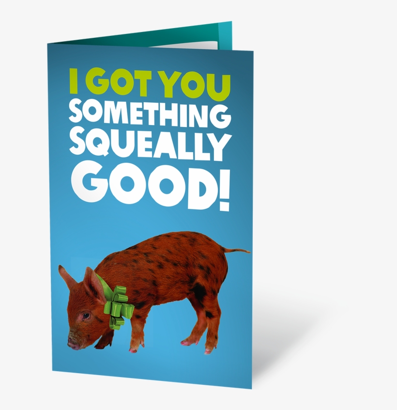 Piglet Click Here To Enlarge - Domestic Pig, transparent png download