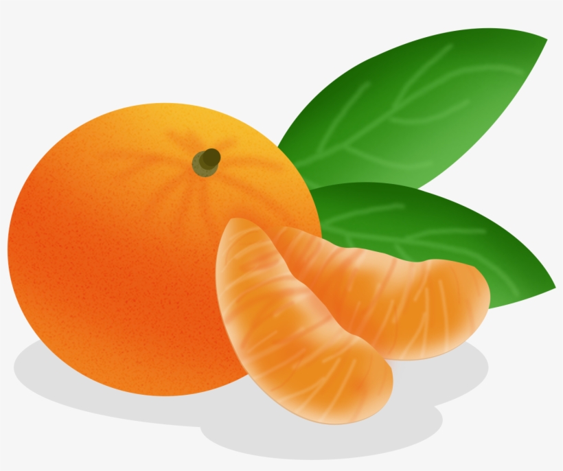 Cartoon Hand Drawn Fruit Food Png And Psd - Tangerine, transparent png download