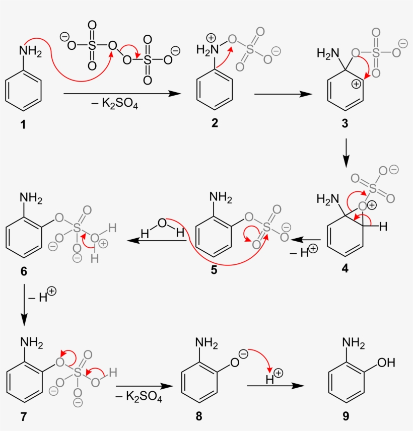 Boyland Sims Oxidation Mechanismus - Diagram, transparent png download