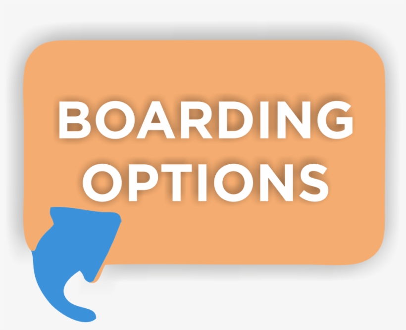 As A Result, We Have A Clear Understanding That A Flexibile - Banatero, transparent png download