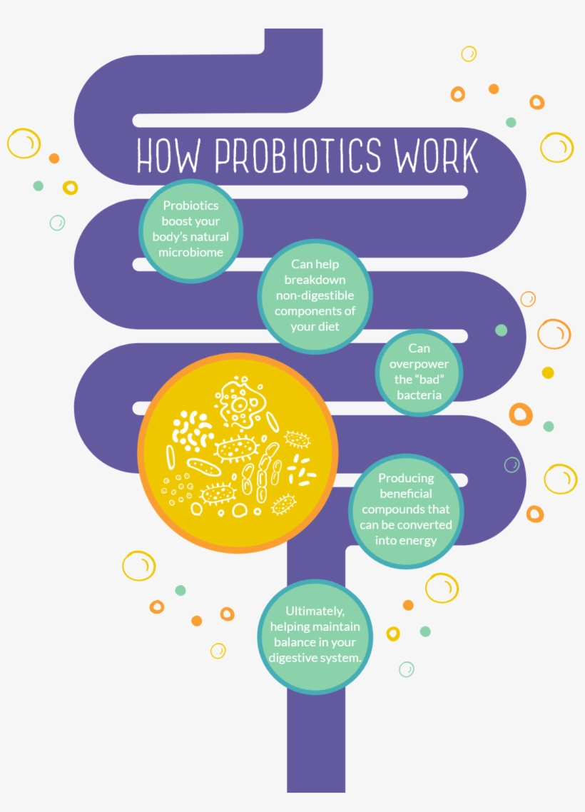 Circle, transparent png download