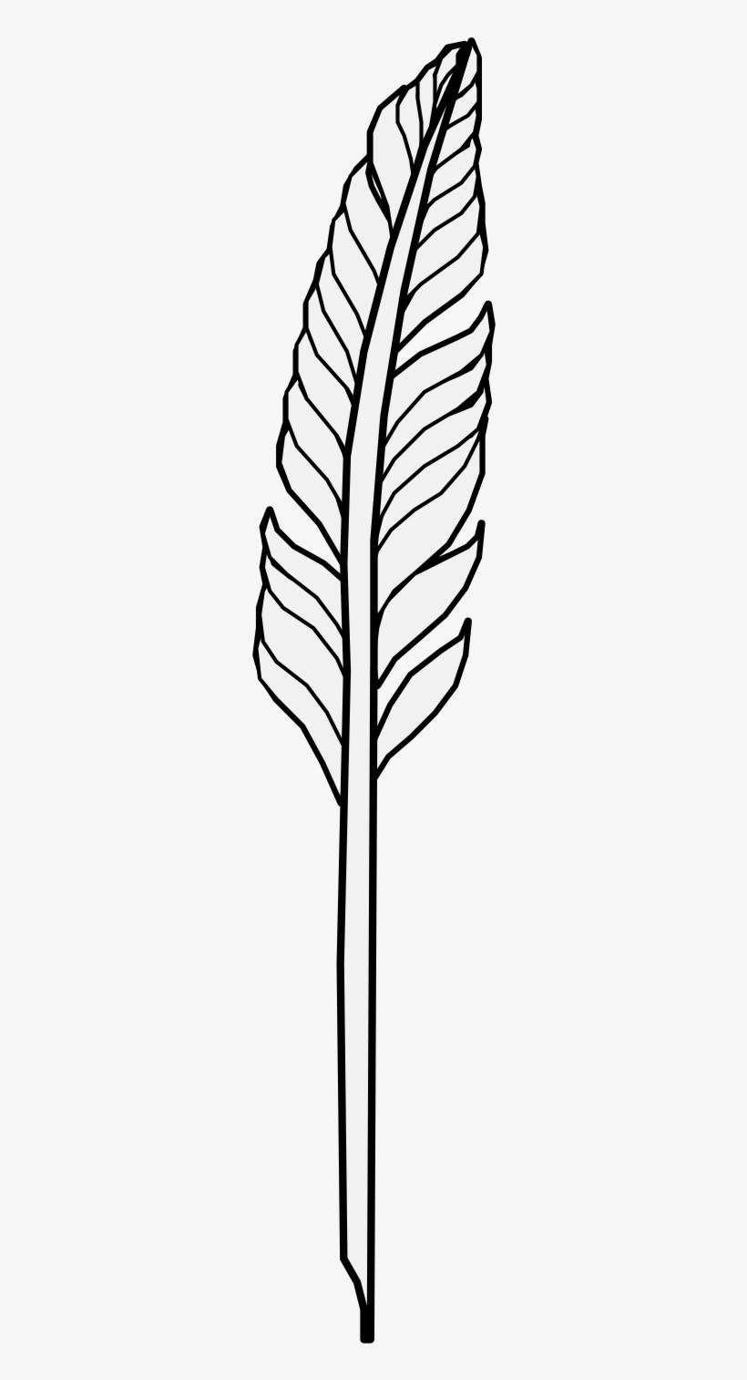 Details, Png, transparent png download