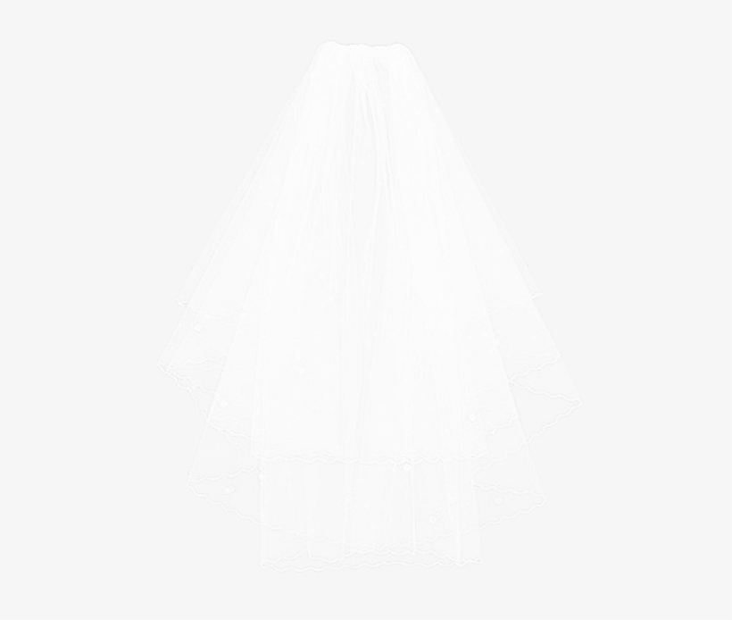Please Read And Understand The Terms Of Use - Wedding Veils Transparent Background, transparent png download