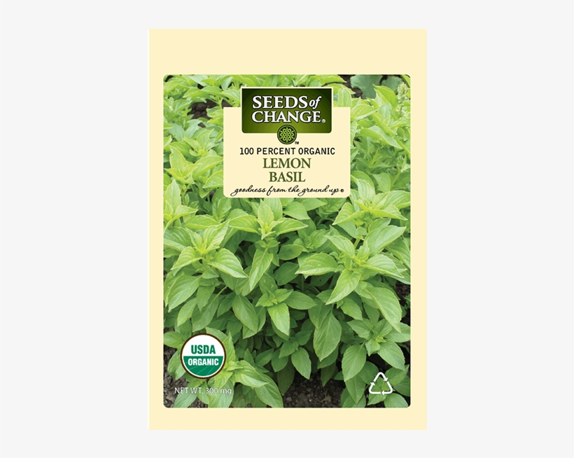Organic Lemon Basil Seeds - Organic, transparent png download