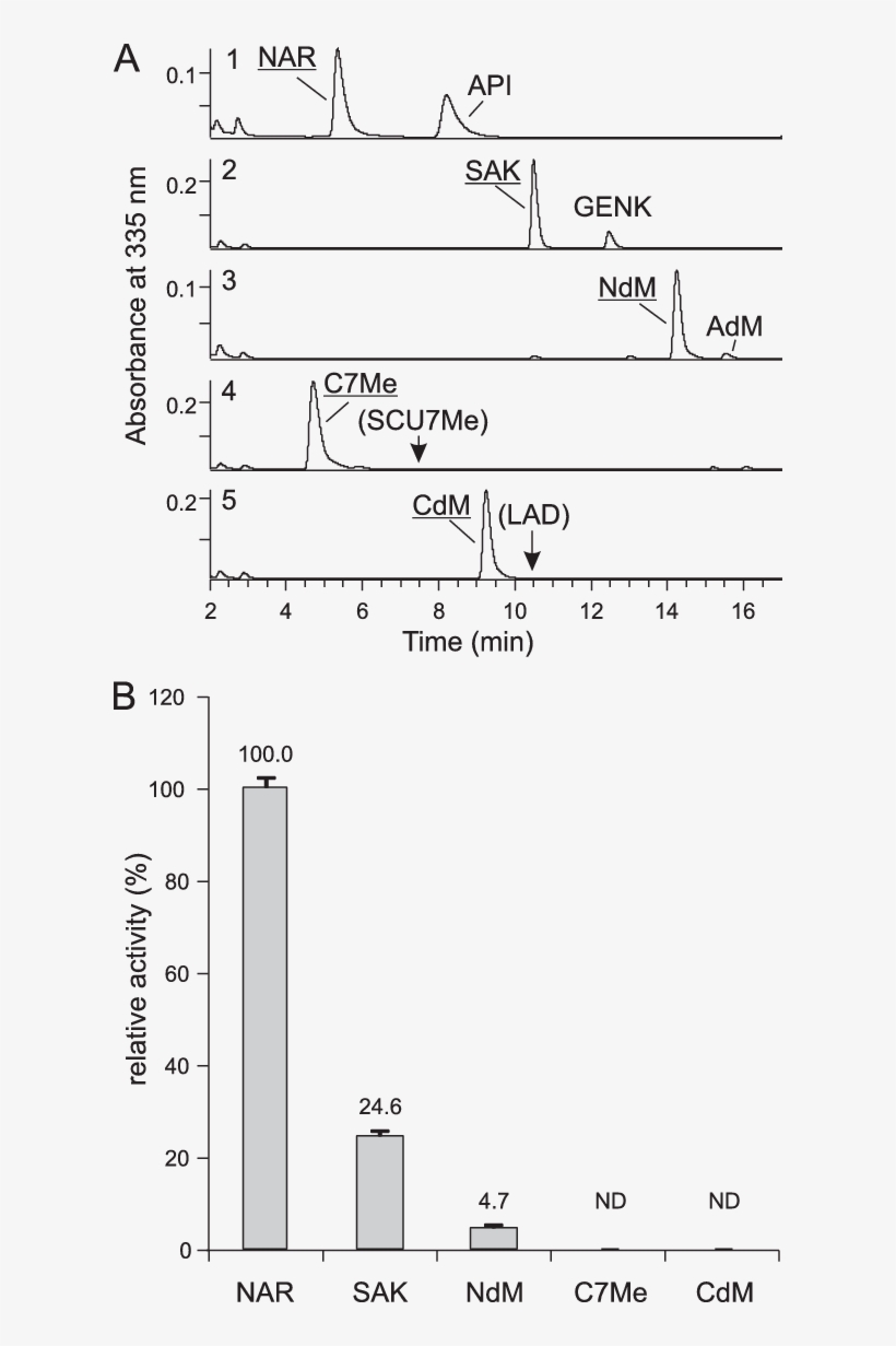 Activities Of Basil Flavone Synthase With Higher Substituted - Diagram, transparent png download