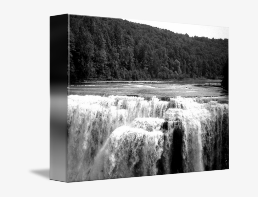 Monochrome, transparent png download