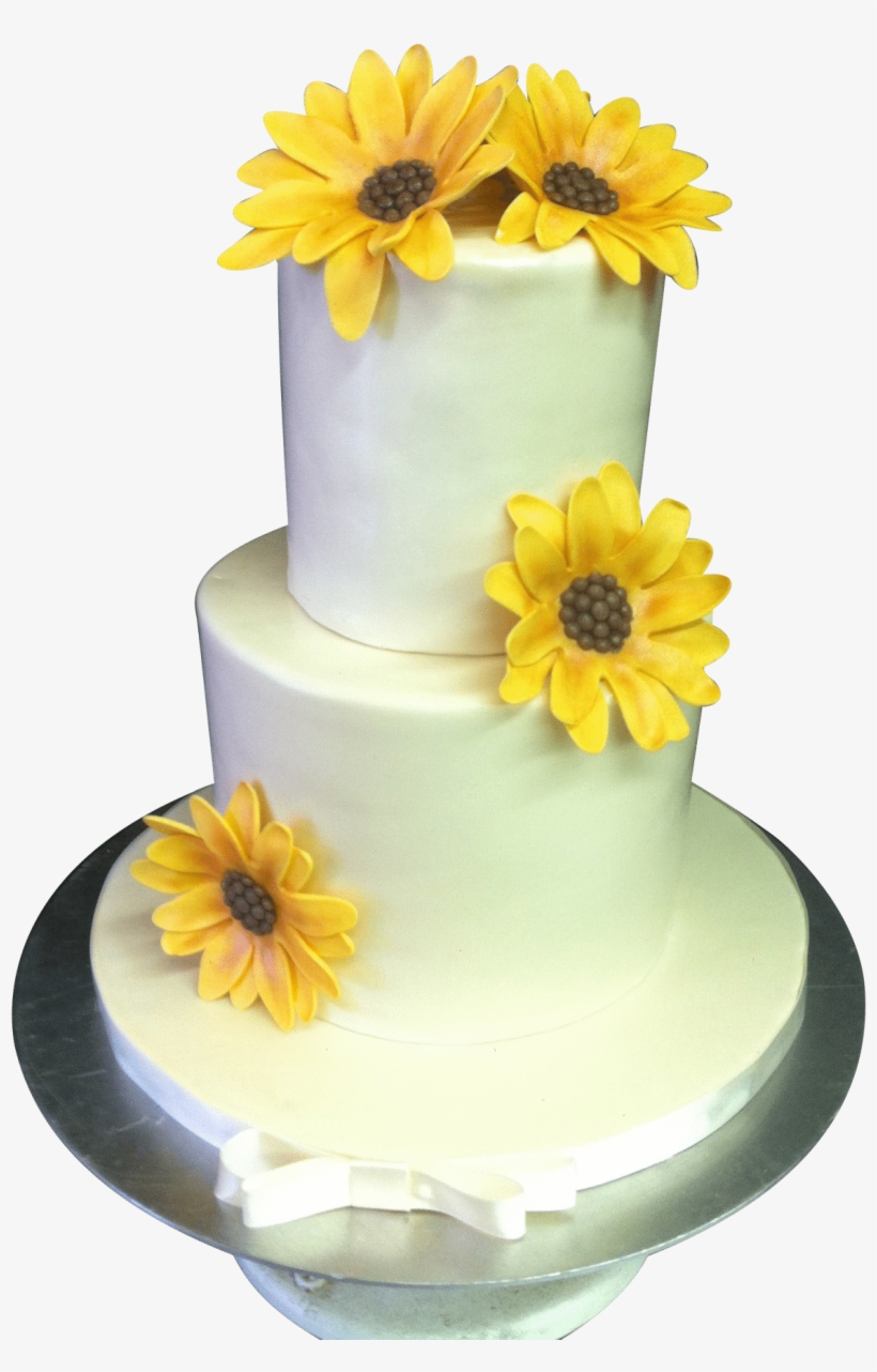 Daisy, transparent png download