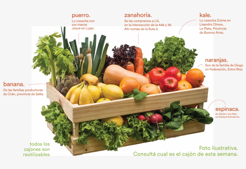 Elegí Fruta Y Verdura De Verdad - Broccoli, transparent png download