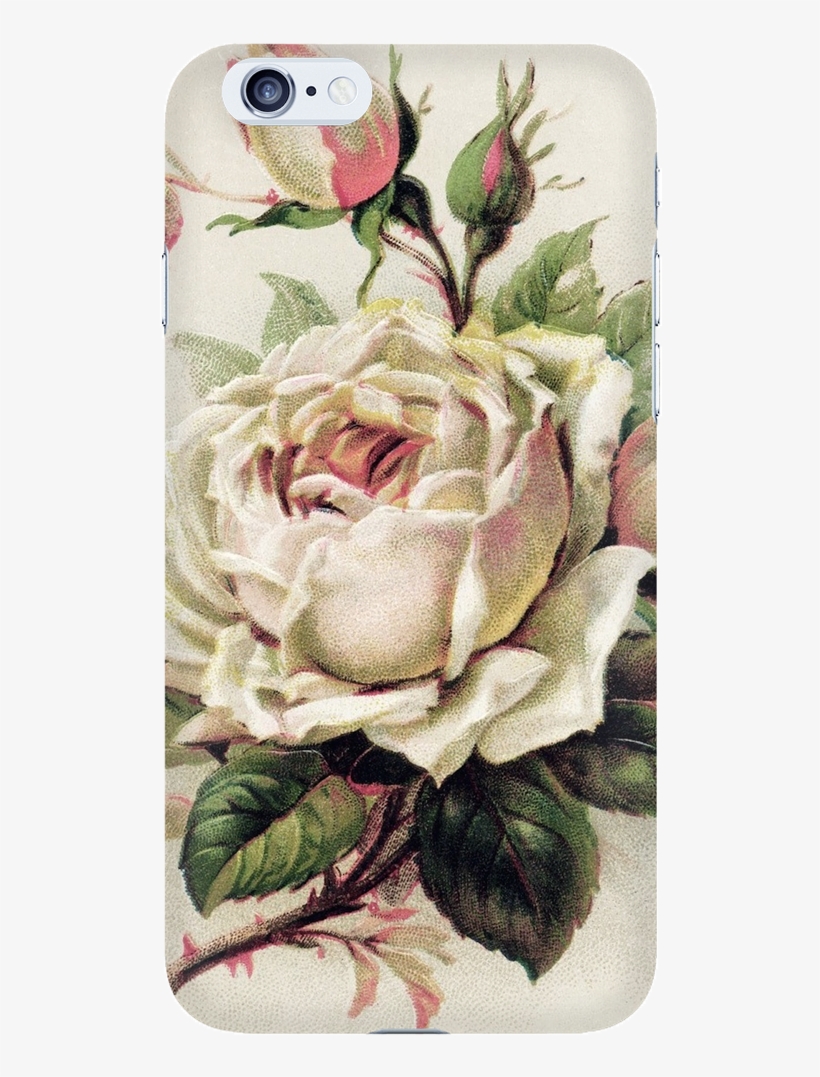 Vintage Rose Phone Case - Vintage White Rose Png, transparent png download