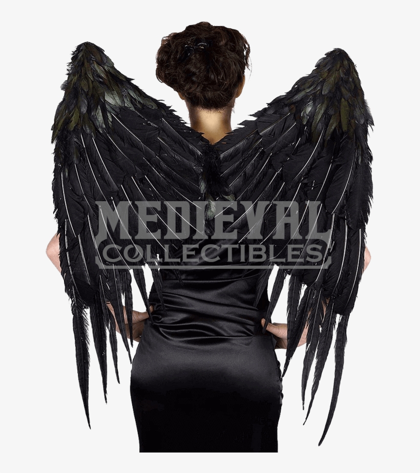 Deguisement Adulte Aile Malefique, transparent png download