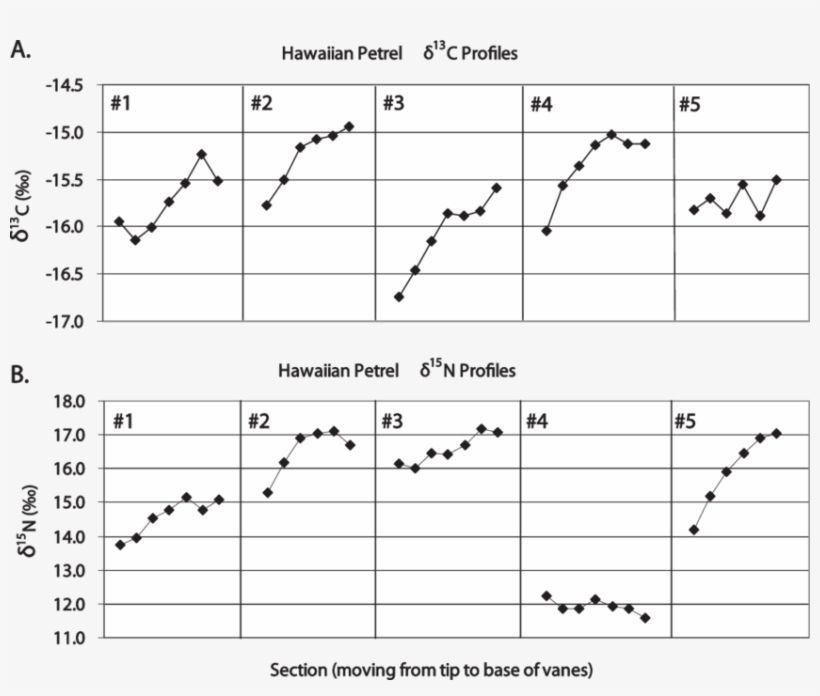 Values Of 13 C And (b) 15 N Values From Five Hawaiian - Diagram, transparent png download
