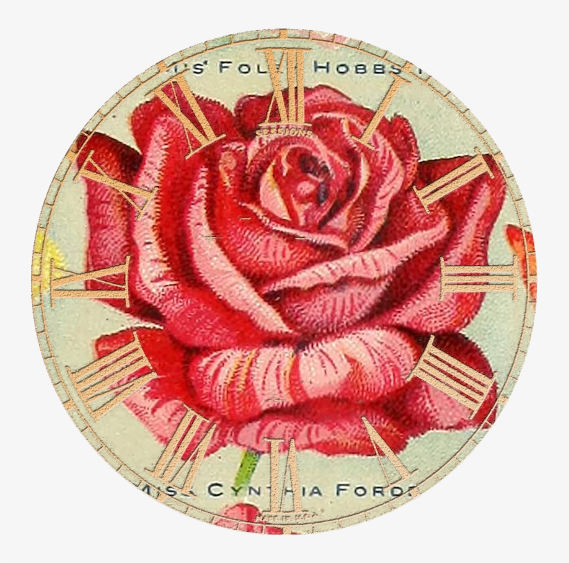 Wings Of Whimsy - Hybrid Tea Rose, transparent png download