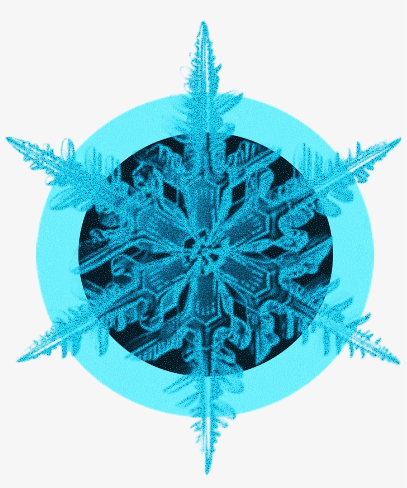 Blue Black Crystal Ice Flower Decorative Png And Psd - Vector Graphics, transparent png download