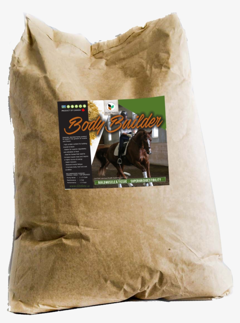 Elite Body Builder, transparent png download