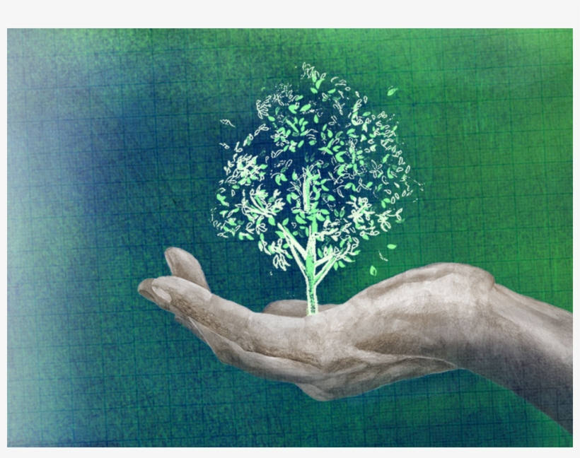 Xcel Hand - Hand, transparent png download
