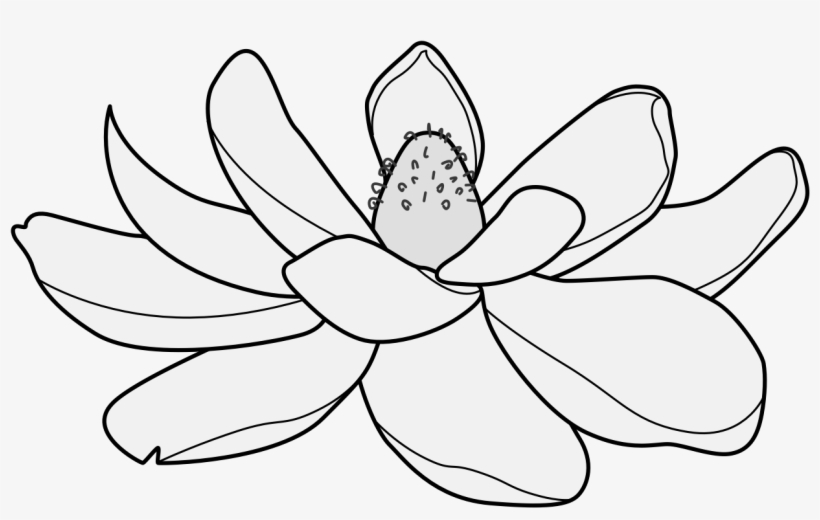Details, Png - Lotus, transparent png download