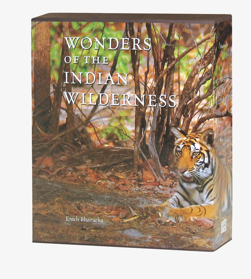 Wonders Of The Indian Wilderness - Bengal Tiger, transparent png download