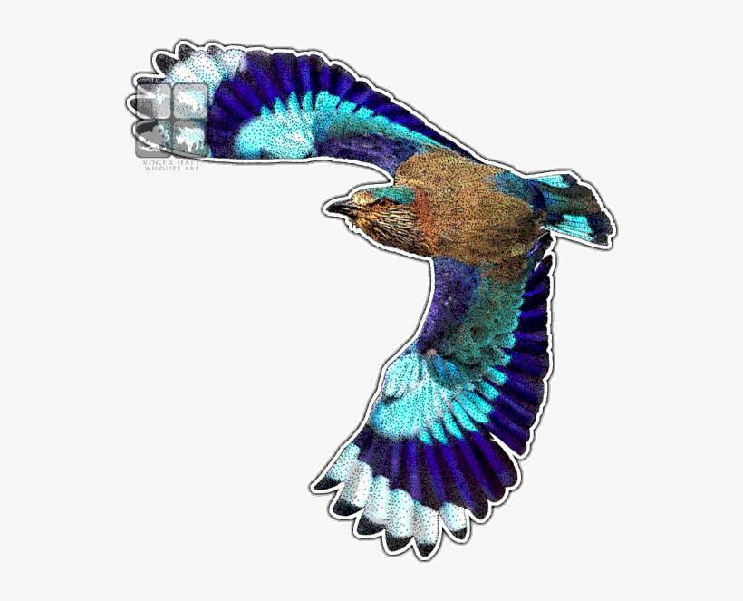 Indian Roller Decal - Peafowl, transparent png download