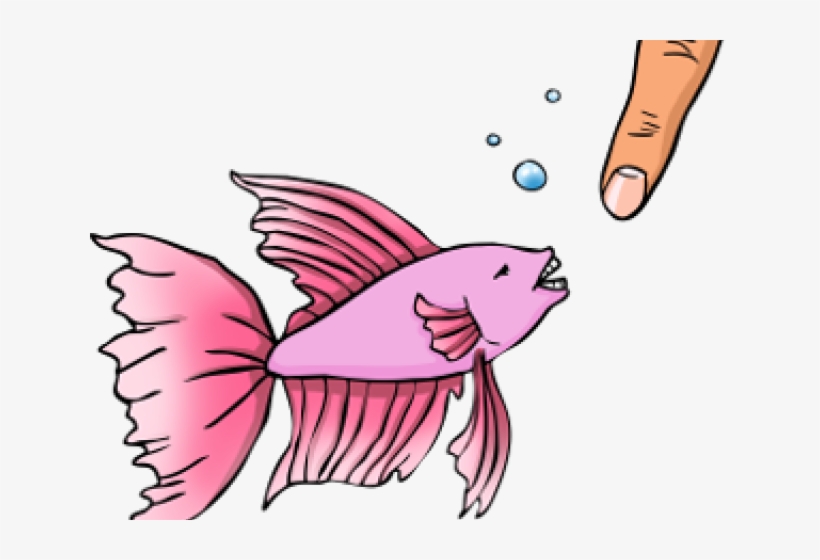 Coral Reef Fish, transparent png download