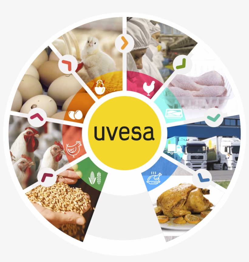 Comprehensive Production Control, transparent png download