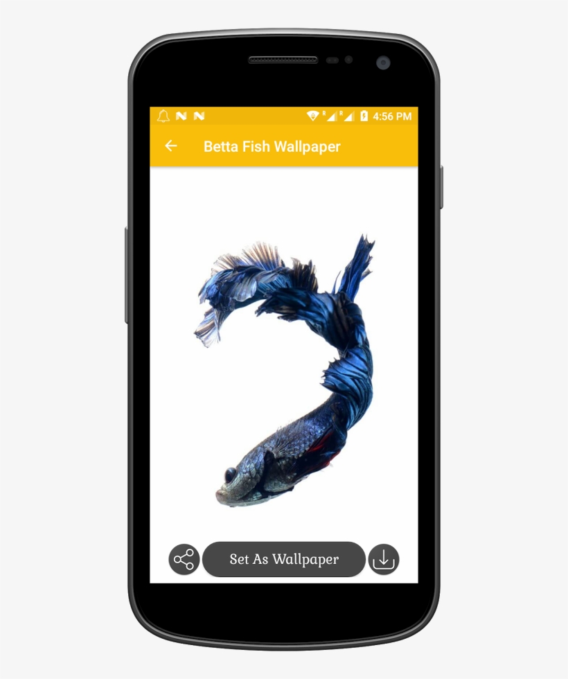 X - - Peixe Betta Azul Png, transparent png download