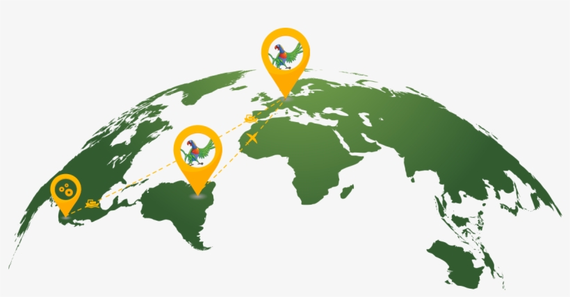 Discover Belleza - Curved World Map Globe, transparent png download