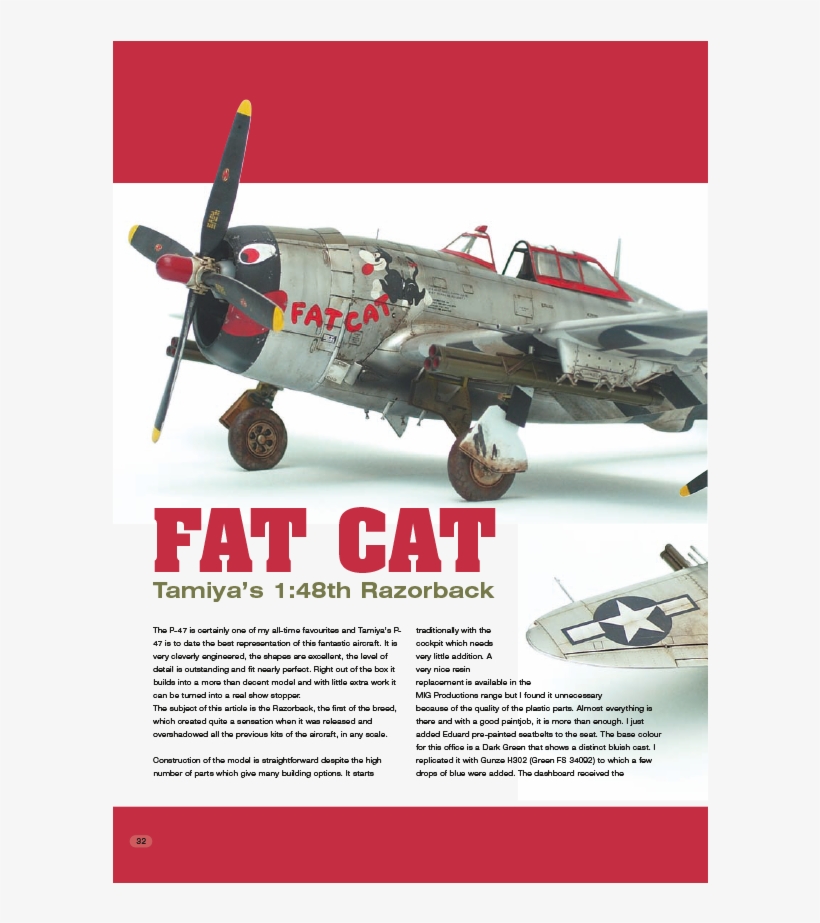 Air9 Fat Cat - Secret Story - Season 4, transparent png download