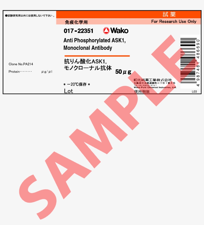 Anti Phosphorylated Ask1, Monoclonal Antibody - Ink, transparent png download