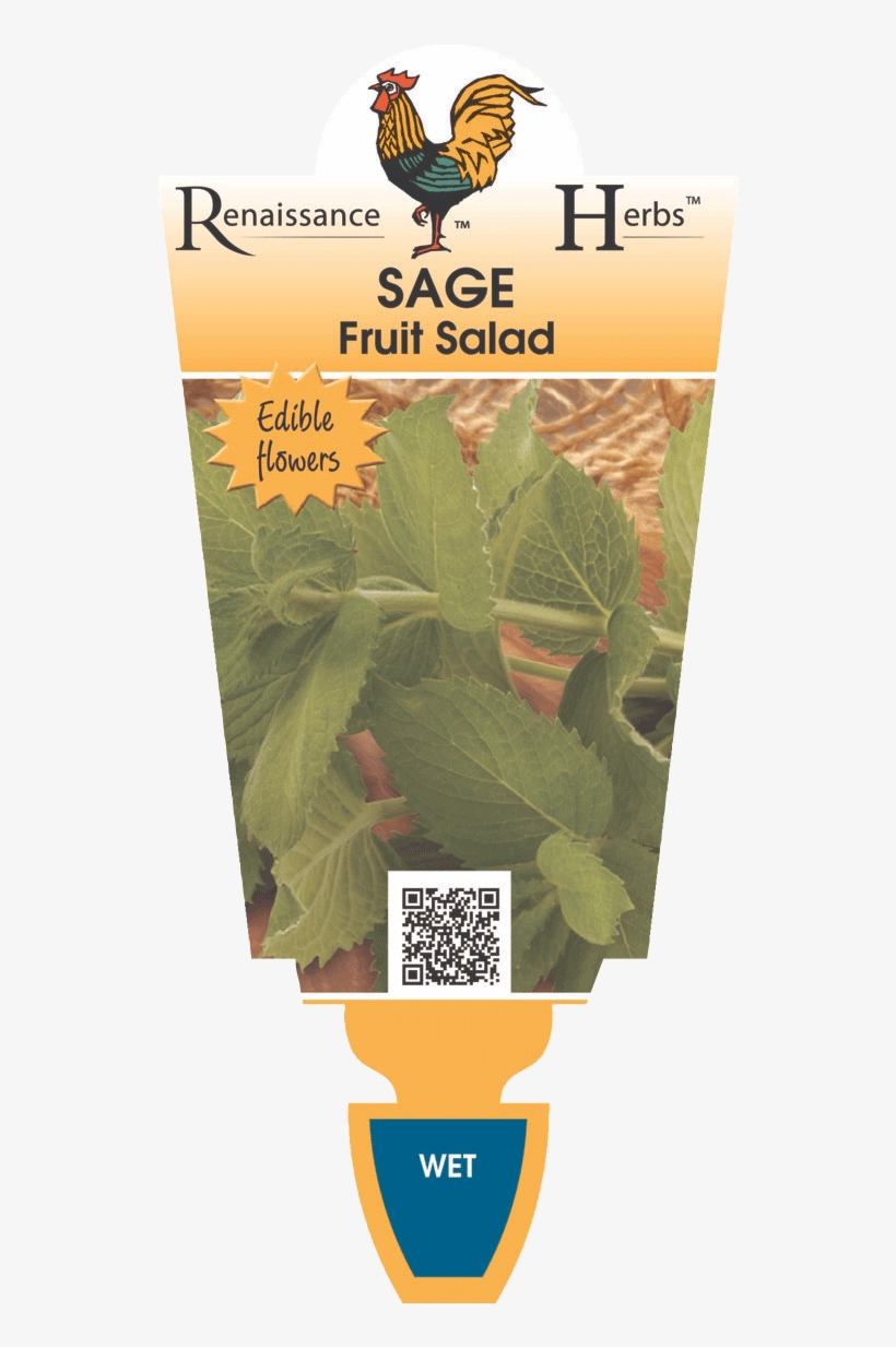 Sage Fruit Salad, transparent png download