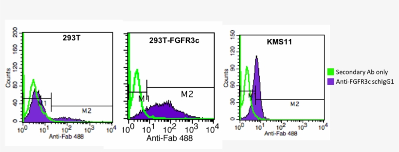 Flow Cytometry Of Fgfr3c - Diagram, transparent png download