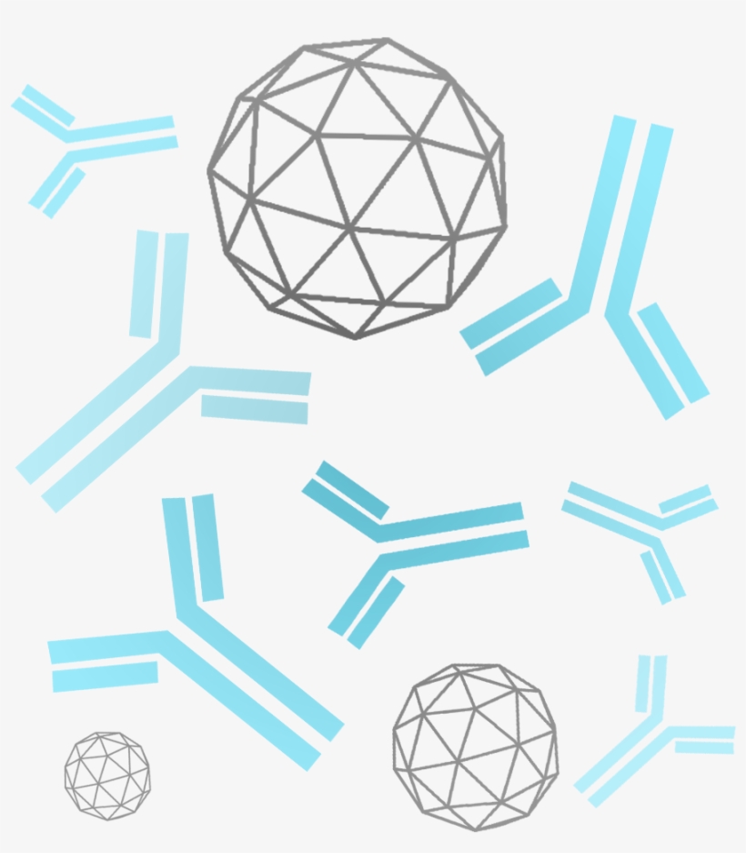 Protocol Is Developed To Meet Specific Client Needs - Circle, transparent png download