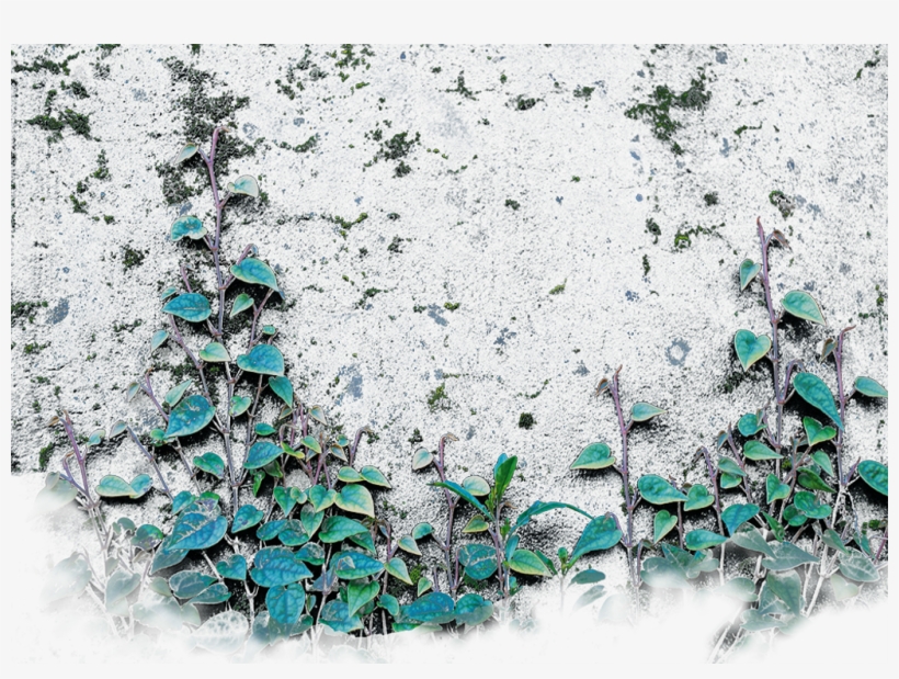 Report Abuse - Craft, transparent png download
