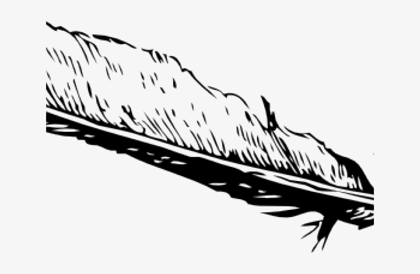 Feather Clipart Vector - Black Of Feathers Clipart Transparent, transparent png download