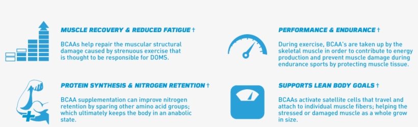 Did You Know That Most Bcaas In The Market Are Made - Graphic Design, transparent png download