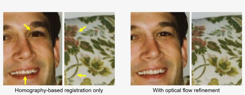 Comparison Between The Glare Removal Result With And - Invertebrate, transparent png download