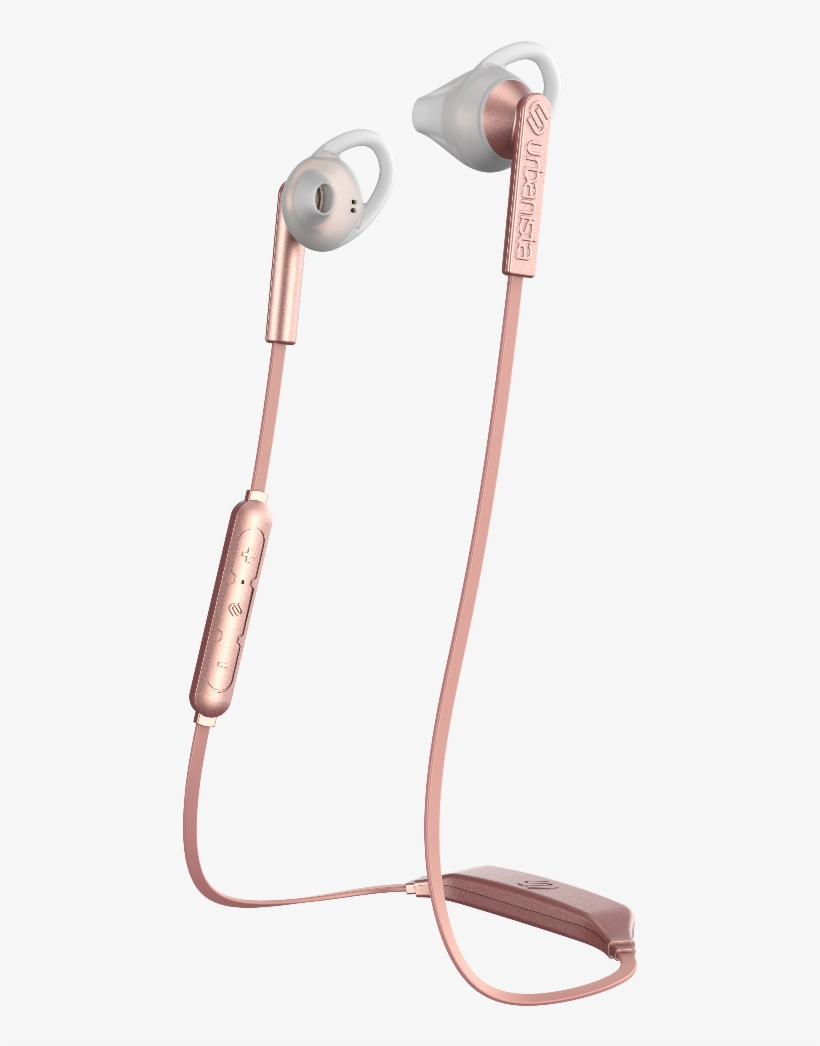 Angle 4 Boston Packshot Rose, transparent png download